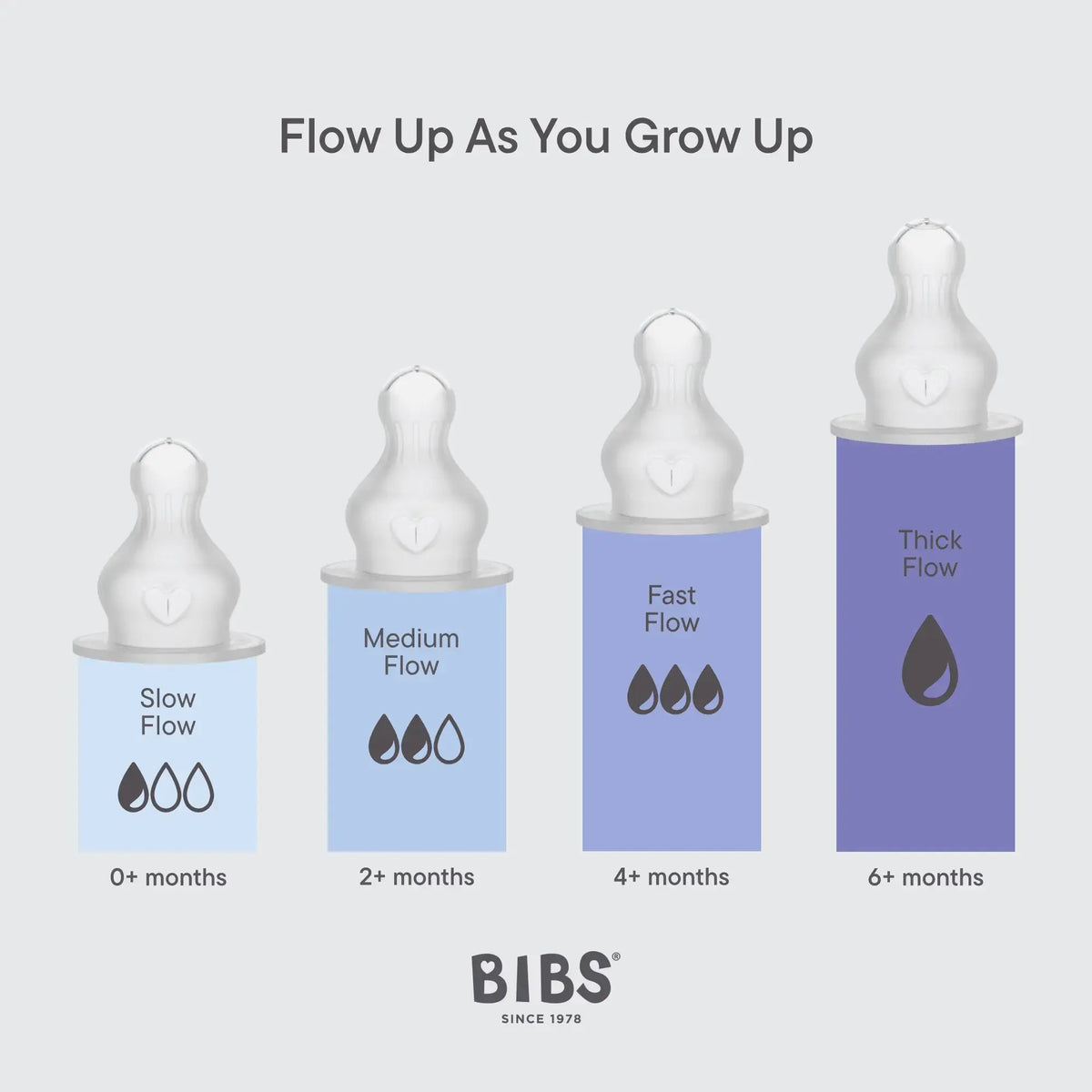 Tétines de biberon en silicone 2 Bibs